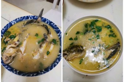 黄辣丁鱼汤