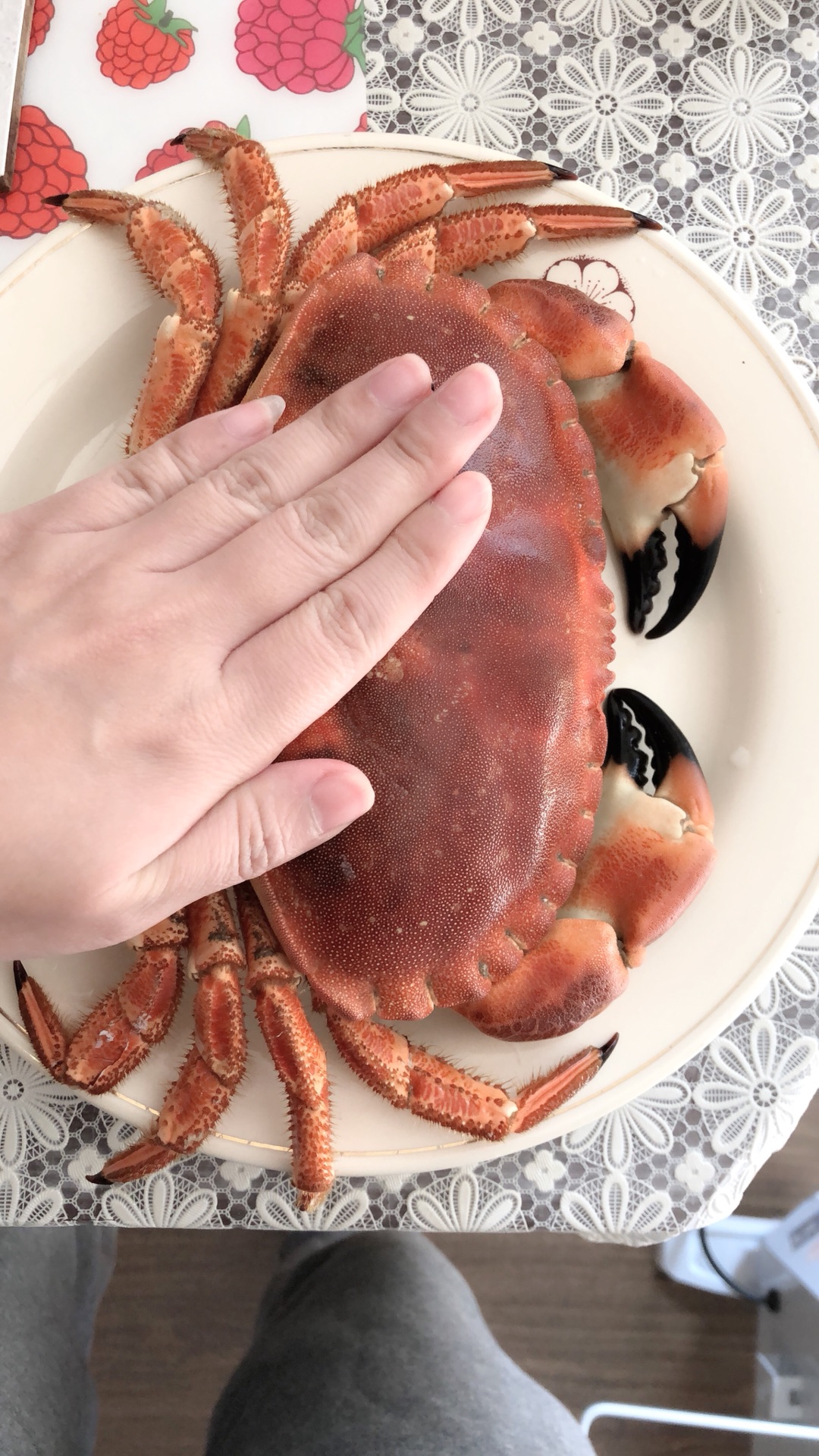 面包蟹做法清蒸要多久（面包蟹的营养价值及功效 面包蟹怎么做好吃又简单） | 说明书网