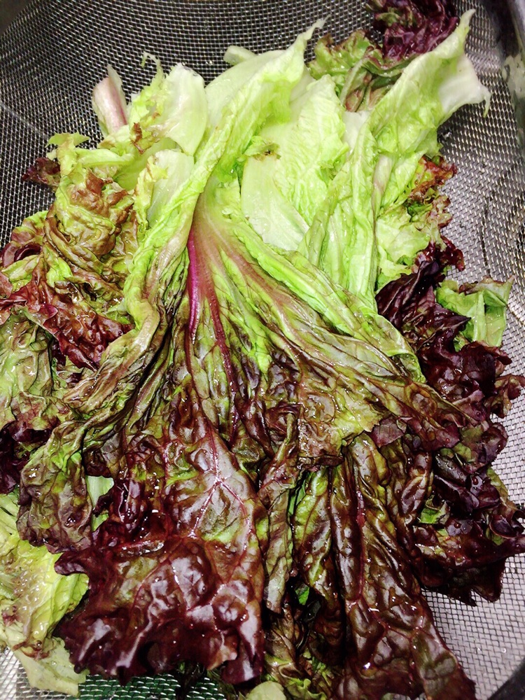 蚝油生菜的做法图解1