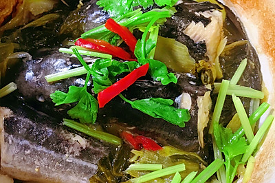 普宁豆酱酸菜焖鳗鲶
