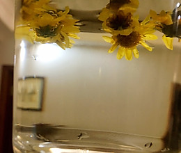 野生菊花茶的做法