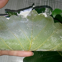 博罗叶饼的做法图解7