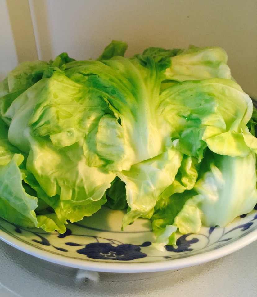 红汤卷心菜包肉（ロールキャベツ）的做法图解3