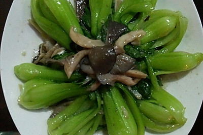 平菇小青菜