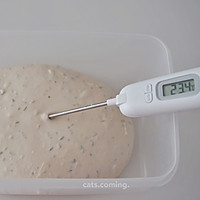 #夏日开胃餐#无糖无油普罗旺斯法式面包的做法图解9