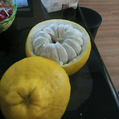 柚子专用果盘