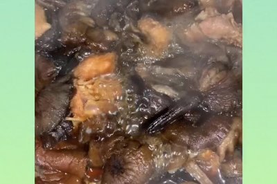 家常小鸡炖蘑菇