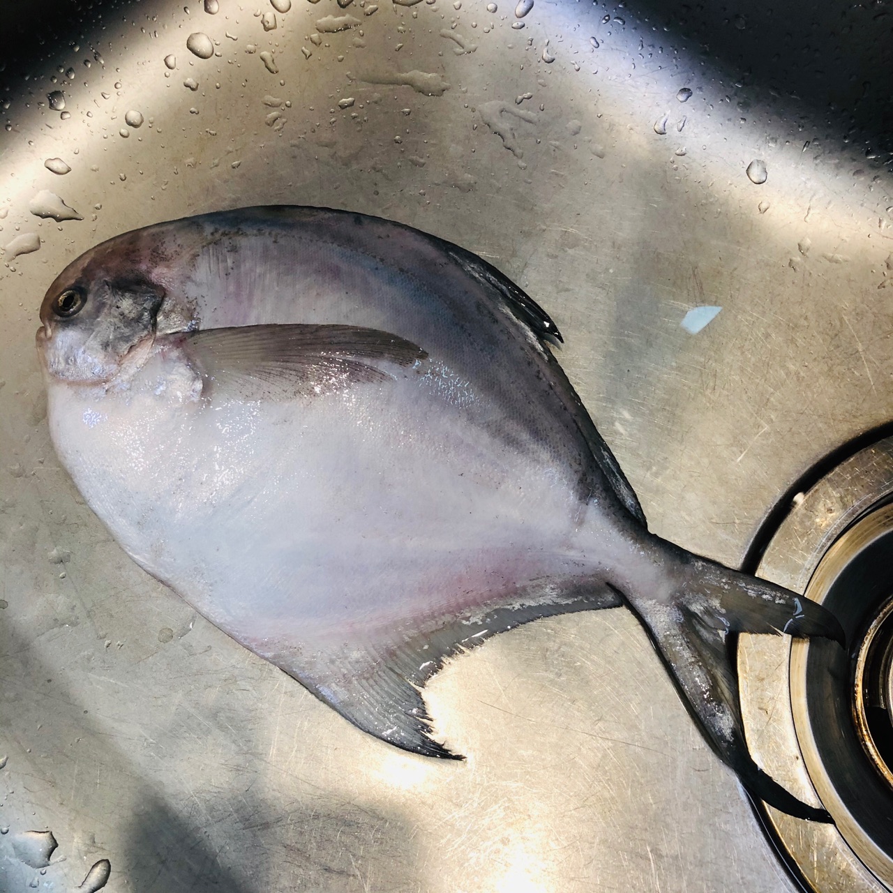 白昌鱼怎么做 白昌鱼的做法 豆果美食 白昌鱼怎么做 白昌鱼的做法 豆果美食