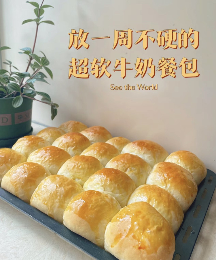 超软牛奶餐包的做法