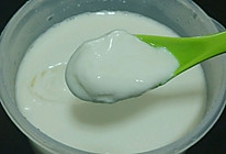 自制酸奶（养生壶）的做法