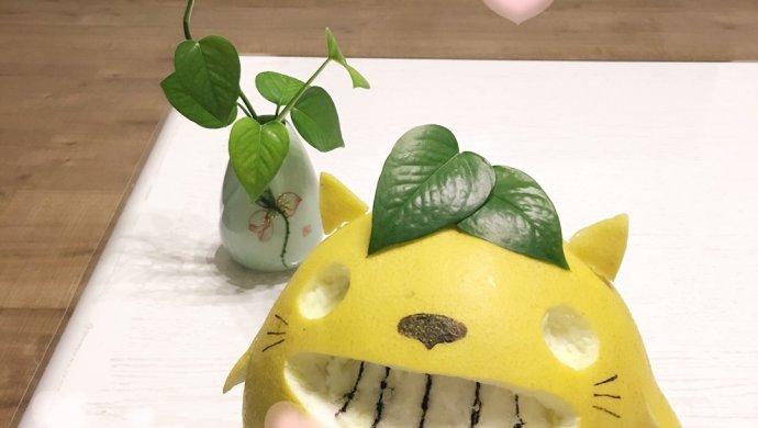 柚子龙猫～