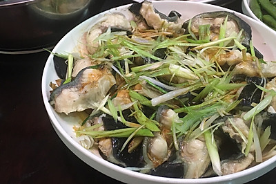 春之菜谱——清蒸鳗鱼