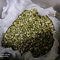 自发豆芽的做法图解8