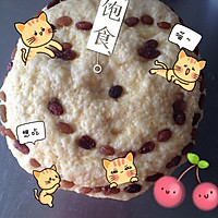 玉米白面两合发糕的做法图解15