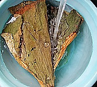 荷叶鸭肉冬瓜汤-大暑养生的做法图解2