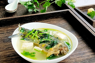 黄刺鱼豆腐汤