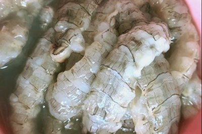 爬虾（又名皮皮虾）饺子