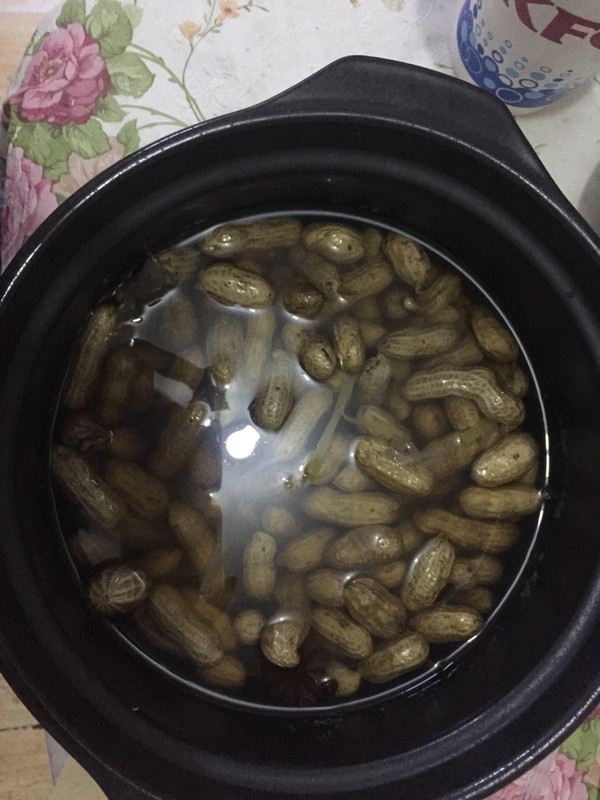 鹽水花生的做法_菜譜_豆果美食