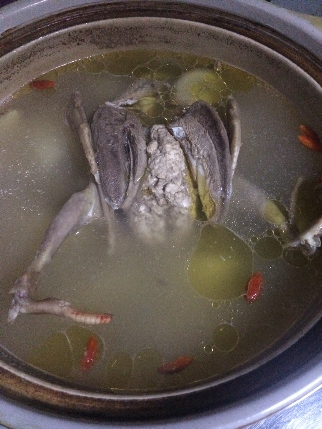 山药鸽子汤-秋季养生必食的做法图解5