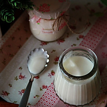 -益生菌酸奶——香醇、无添加酸奶#自己做更健康#