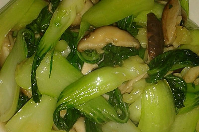 上海青炒鲜菇