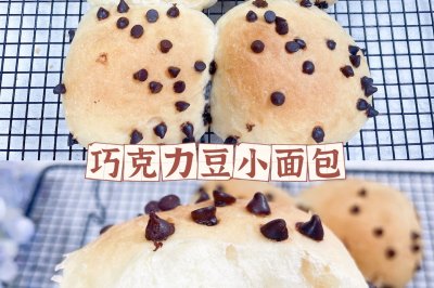 牛奶巧克力豆小面包一次发酵也超好吃