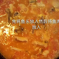 西红柿鱼汤的做法图解5