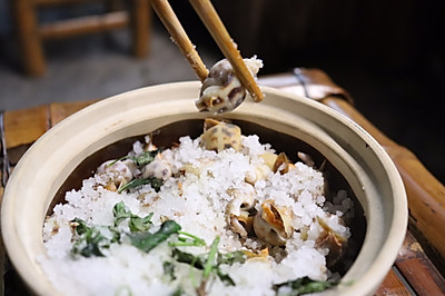 碳炉砂锅盐焗花螺