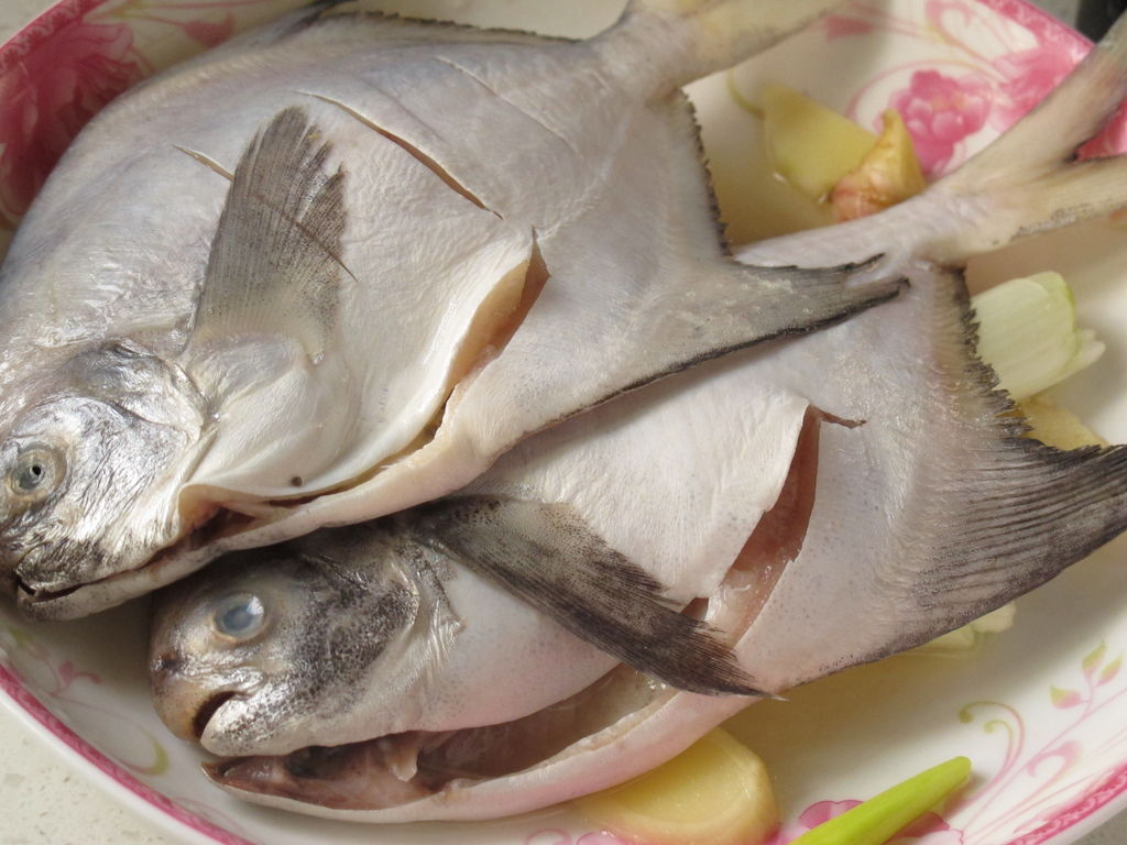 红烧平鱼的做法_【图解】红烧平鱼怎么做如何做好吃_红烧平鱼家常做法大全_常知常味_豆果美食