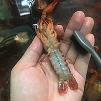 十三香小龙虾的做法图解6
