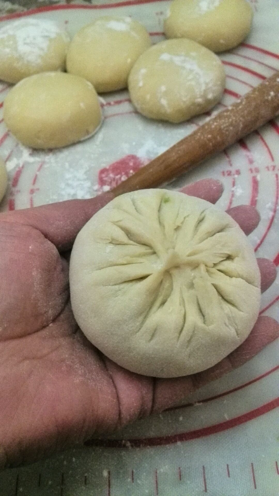 【家传美食】野蒜鲜肉饼的做法图解9