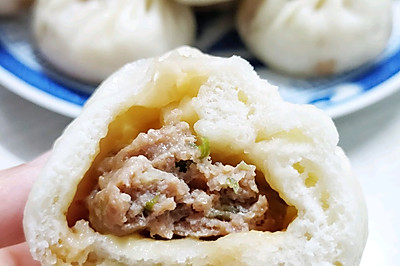 纯肉包子