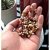 〞美味又无虑，时时补身体"--------红豆薏米养生浆的做法图解2