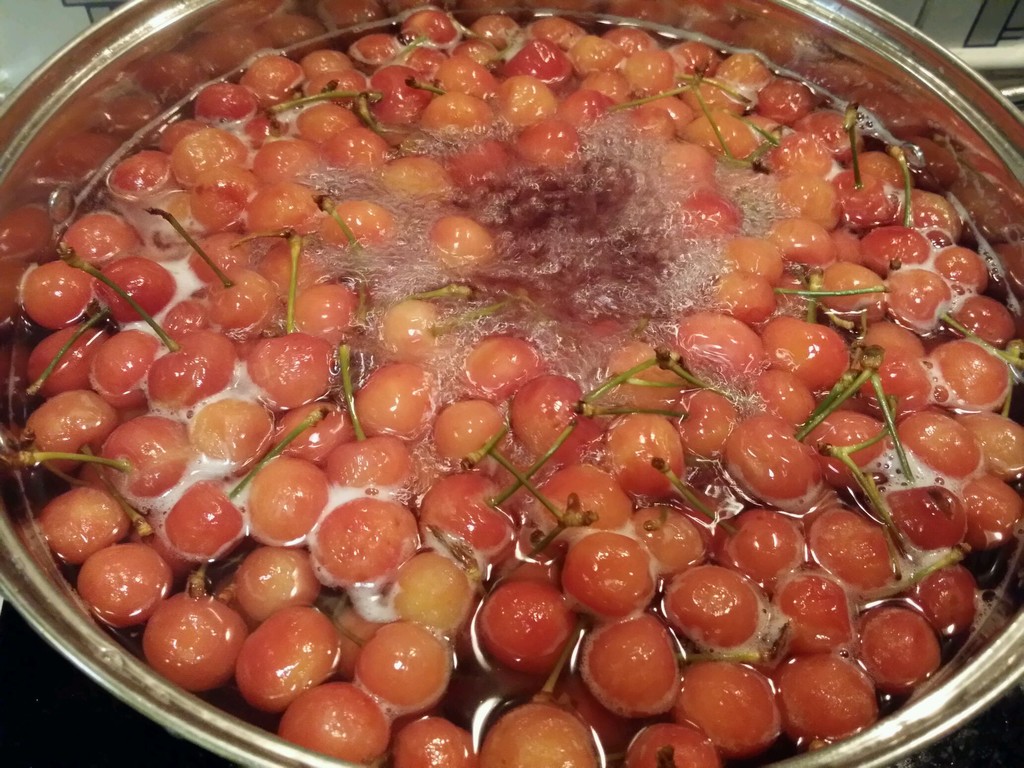 樱桃酒的做法_【图解】樱桃酒怎么做如何做好吃_樱桃酒家常做法大全_豆。豆_豆果美食