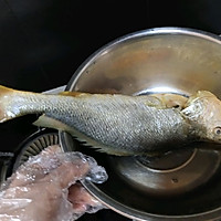 藤椒黄花鱼～的做法图解1