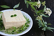 香椿苗拌豆腐的做法