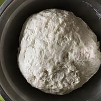 淡奶油老式面包（中种法）的做法图解4