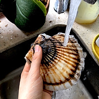 【美味易得】蒜蓉粉丝蒸元贝的做法图解2
