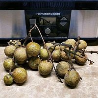 #硬核菜谱制作人#干果机版--龙眼干的做法图解1