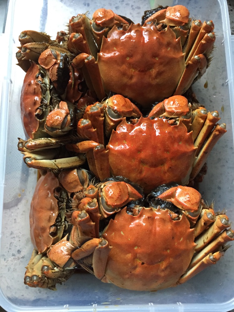 熟醉蟹的做法图解5