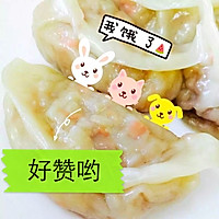 饺子皮，馄饨皮（面包机版） 饺子馅，萌饺煮法的做法图解4