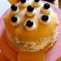 芒果千层的做法图解8