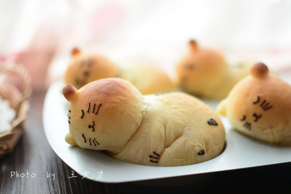 淡奶油吐司(附睡不醒喵星人)