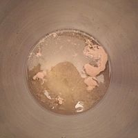全麦大地吐司的做法图解5