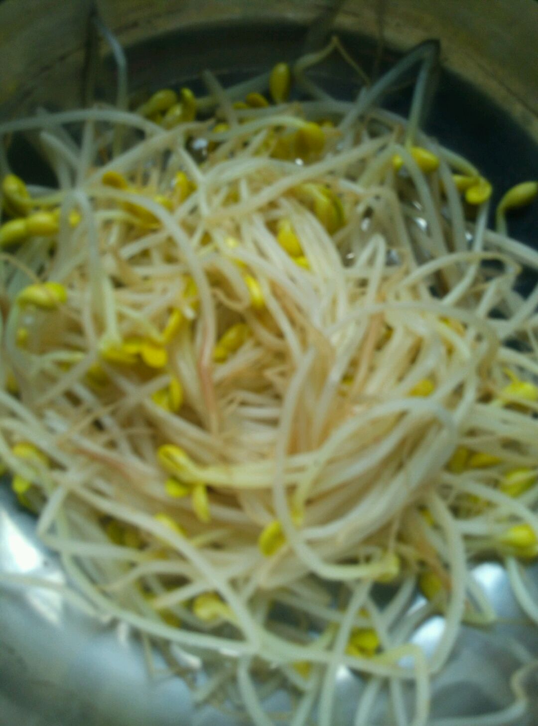滑鱼片的做法图解5