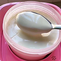 好酸奶自己做的做法图解4