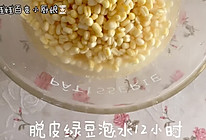 #美食视频挑战赛【自制绿豆糕】清凉祛火，入口即化的做法