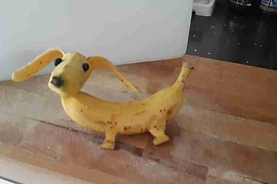 香蕉小狗