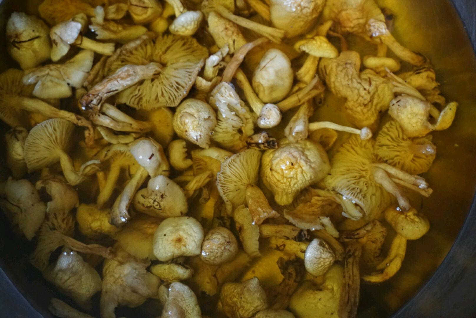 家常炒蘑菇的做法_【图解】家常炒蘑菇怎么做如何做好吃_家常炒蘑菇家常做法大全_.+┈兲兲姠丄ヽ_豆果美食