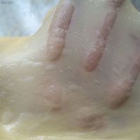 香甜松软——奶香豆沙包的做法图解5